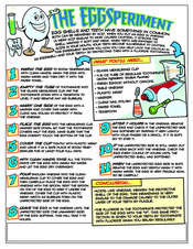 EggSperiment activity sheet - Pediatric Dentist in Southington, Plainville, Chesire and Bristol, CT